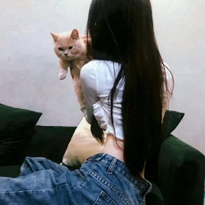 好梦连床